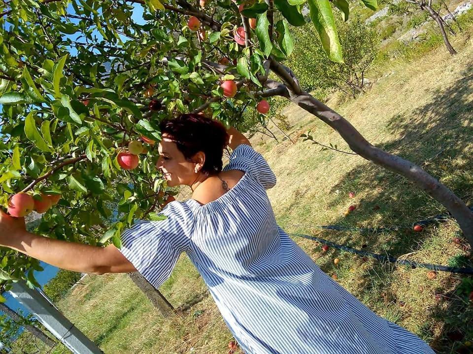 Agroturizem Hotel Vila Franceze Koman Exteriör bild