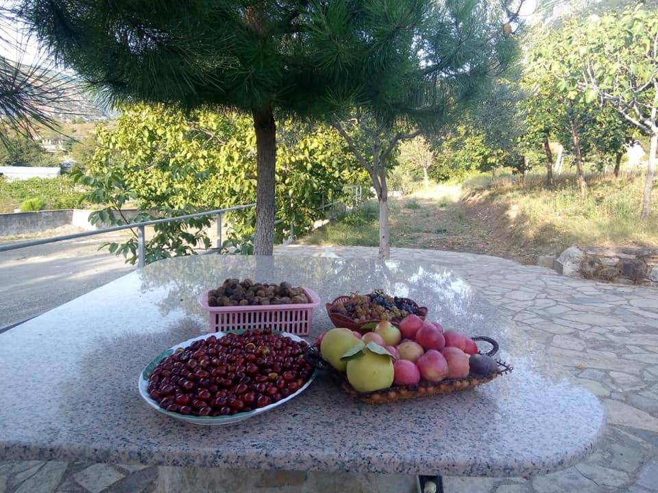 Agroturizem Hotel Vila Franceze Koman Exteriör bild