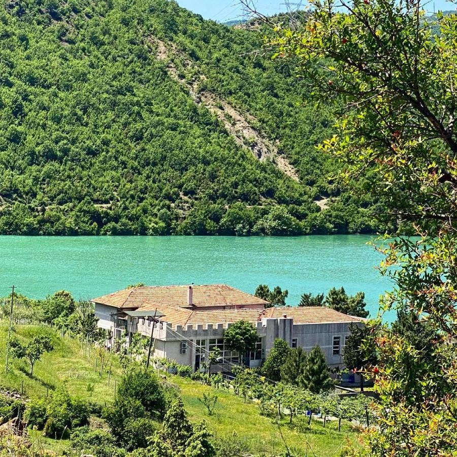 Agroturizem Hotel Vila Franceze Koman Exteriör bild